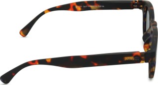 Izipizi Sun Junior #C Tortoise (για ηλικία 7 - 11 έτη)