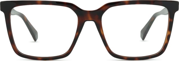 Polaroid PLD D556/C 086 17 54 (clip-on)