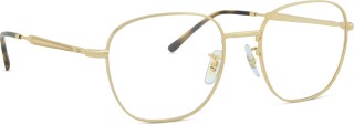 Ray-Ban 0RX6534 2500 53