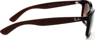 Ray-Ban Andy RB4202 607313 55 123