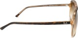 Ray-Ban Bill RB2198 129251 17375