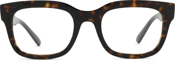 Ray-Ban Chad 0RX7217 8320 54