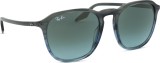 Ray-Ban RB2203 1391GK
