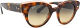 Ray-Ban Roundabout RB2192 1324BG 47 12522
