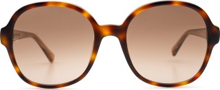 Tommy Hilfiger TH 1812/S 05L HA 55 12754